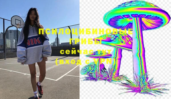 а пвп мука Верхний Тагил