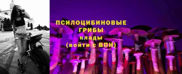 а пвп мука Верхний Тагил
