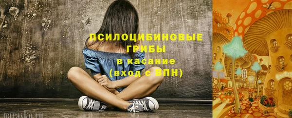 молекула духа Верея