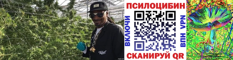 наркотики  Гаджиево  hydra ТОР  даркнет состав  Псилоцибиновые грибы GOLDEN TEACHER 