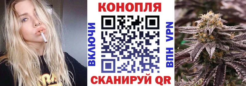 Конопля план наркошоп Гаджиево